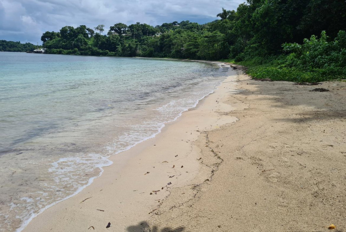 Seventh image of Lot 8 San San in Port Antonio, Portland, Jamaica - property is For Sale