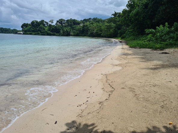 Seventh image of Lot 8 San San in Port Antonio, Portland, Jamaica - property is For Sale