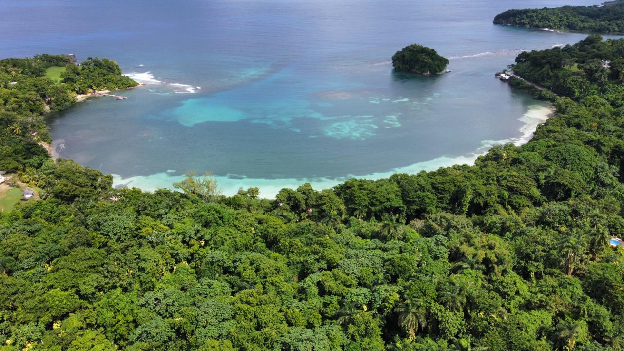 Stunning-2.1-Acre-Residential-Lot-for-Sale-in-Portland-Jamaica First image of Lot 8 San San in Port Antonio, Portland, Jamaica - property is For Sale