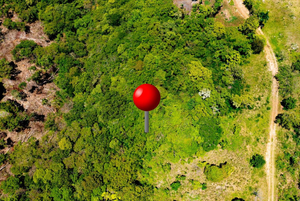 Eighth image of Spicy Grove Constitution in Laughlands, St. Ann, Jamaica - property is For Sale