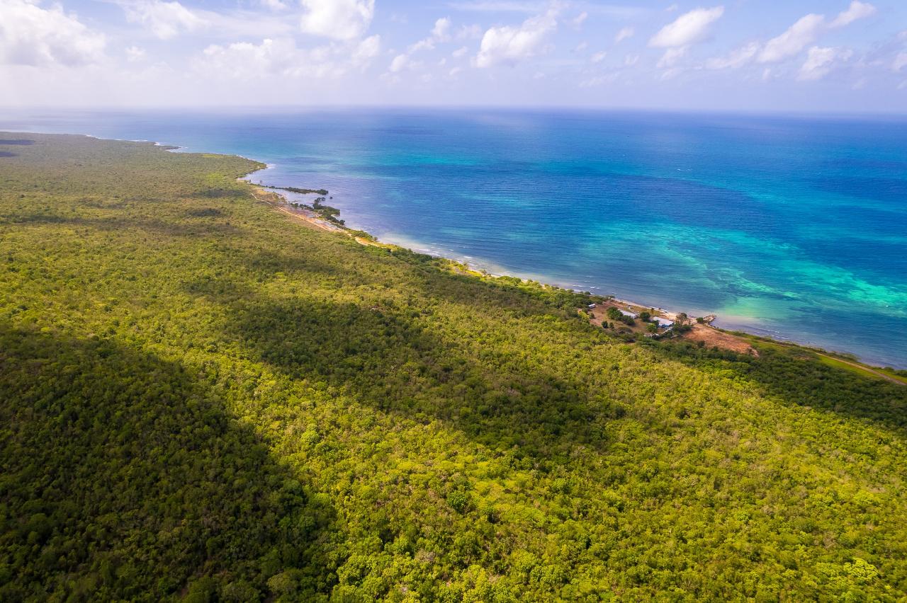 Fifth image of Twickenham Boulevard, Por in PORTLAND COTTAGE, Clarendon, Jamaica - property is For Sale