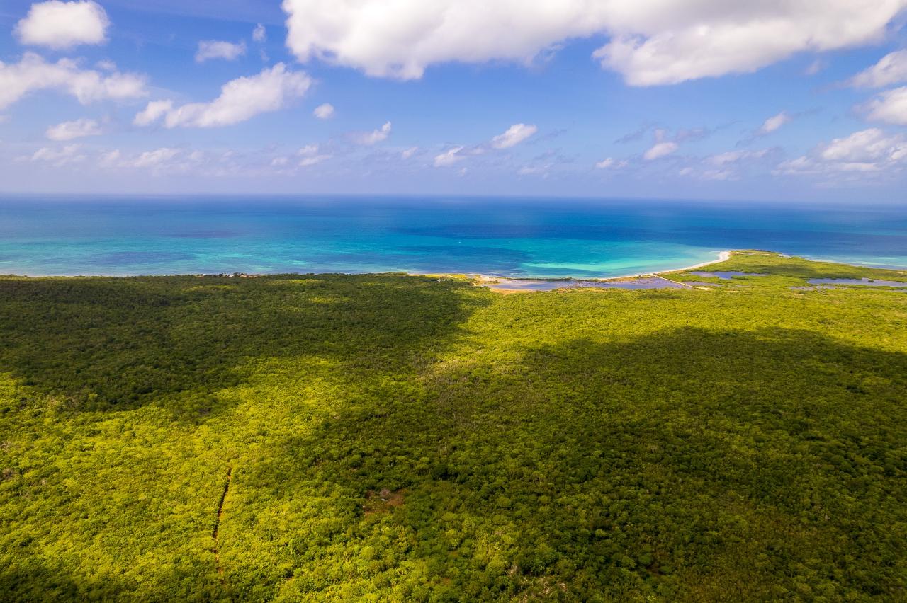 Eighth image of Twickenham Boulevard, Por in PORTLAND COTTAGE, Clarendon, Jamaica - property is For Sale