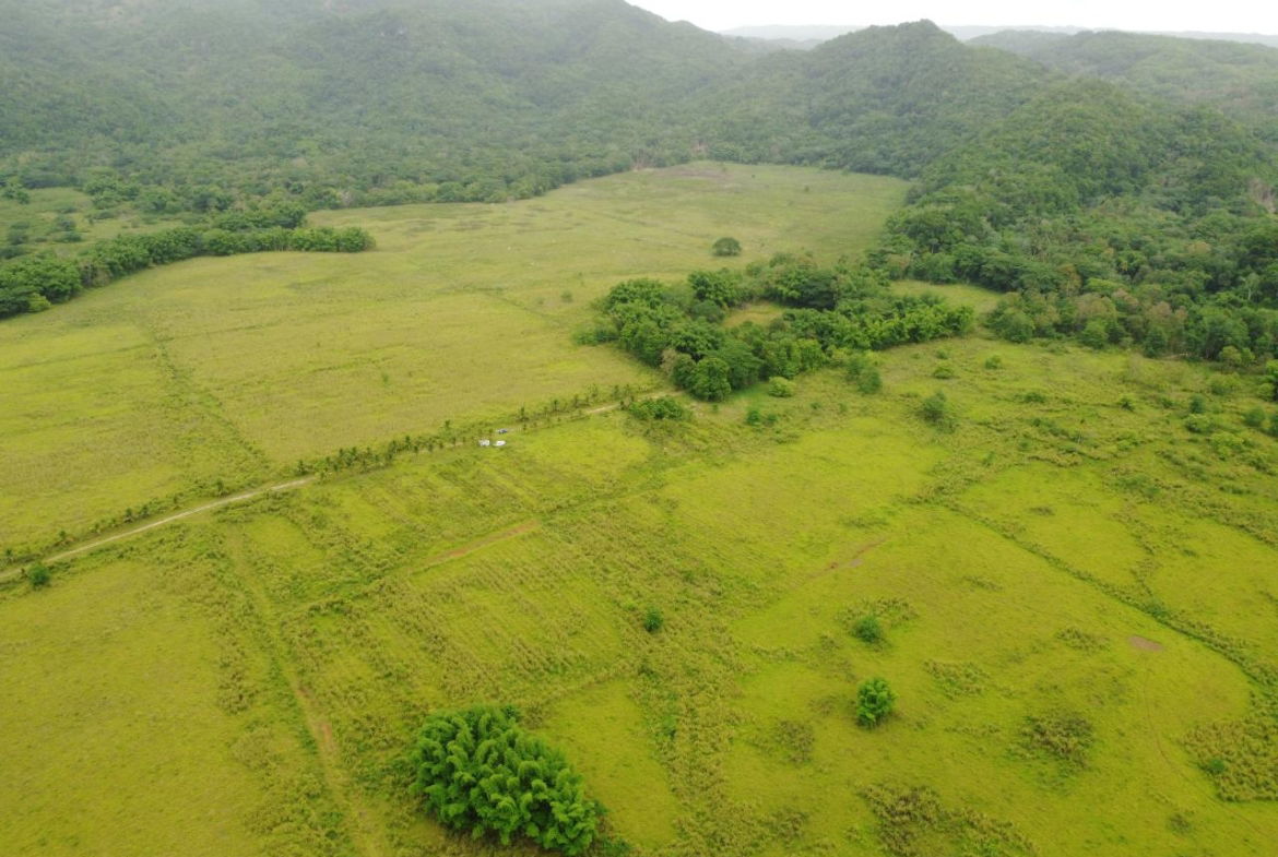 Second image of Spring Vale in Maroon Town, St. James, Jamaica - property is For Sale