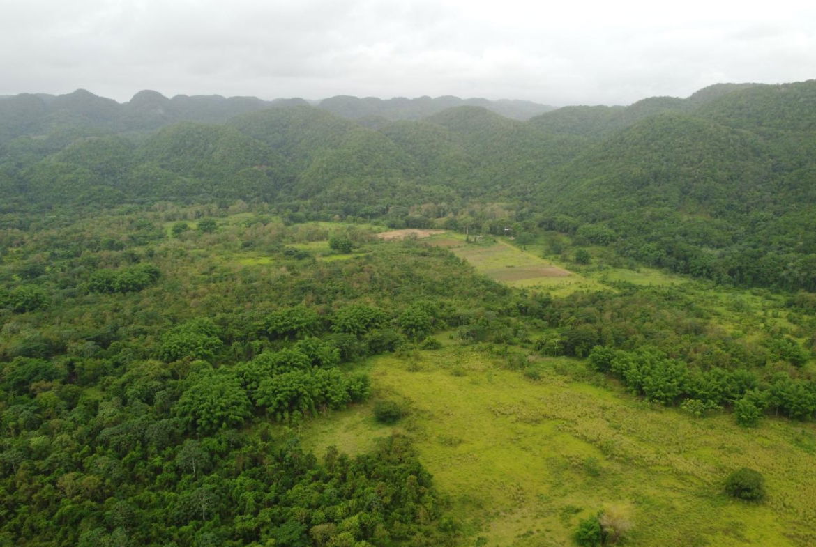 Eleventh image of Spring Vale in Maroon Town, St. James, Jamaica - property is For Sale