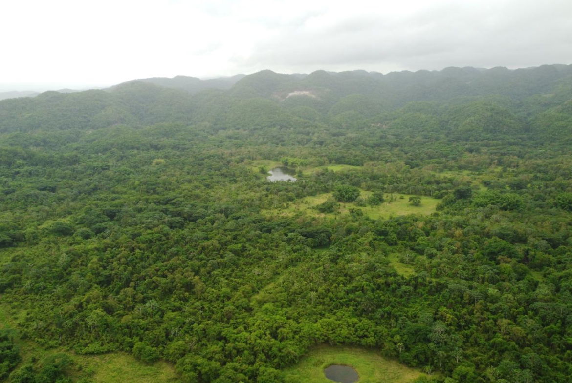 Twelfth image of Spring Vale in Maroon Town, St. James, Jamaica - property is For Sale