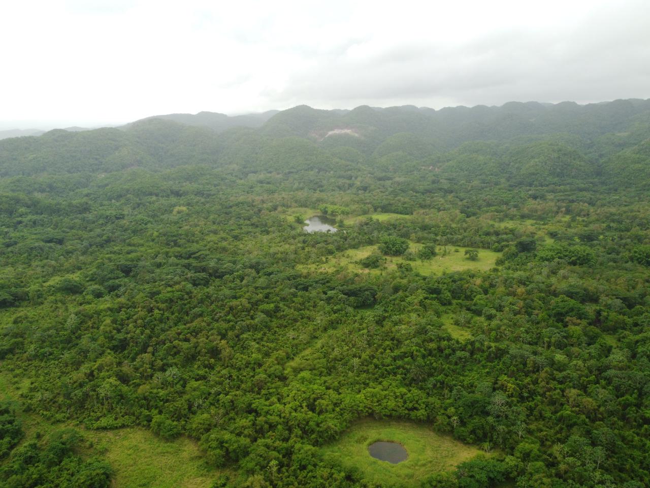 Stunning-2734-Acre-Development-Land-for-Sale-in-Jamaica Twelfth image of Spring Vale in Maroon Town, St. James, Jamaica - property is For Sale