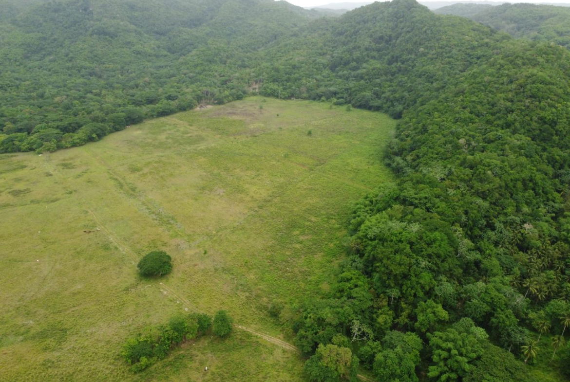 First image of Spring Vale in Maroon Town, St. James, Jamaica - property is For Sale