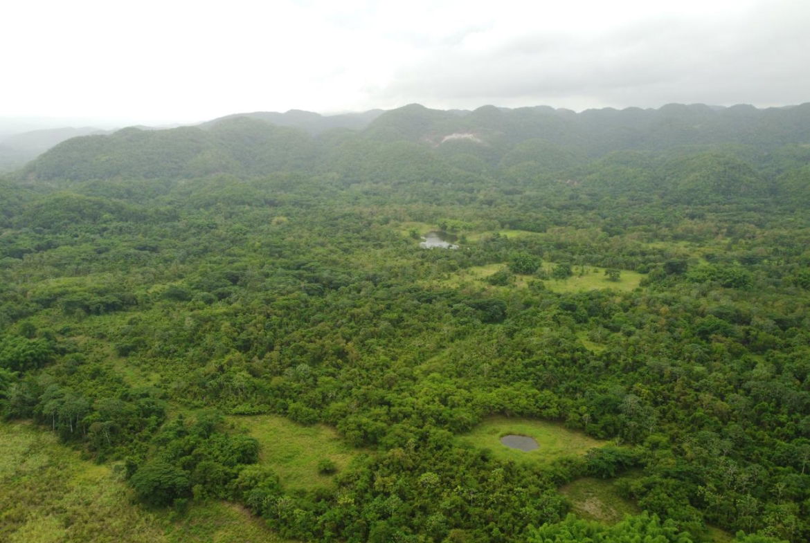 Thirteenth image of Spring Vale in Maroon Town, St. James, Jamaica - property is For Sale