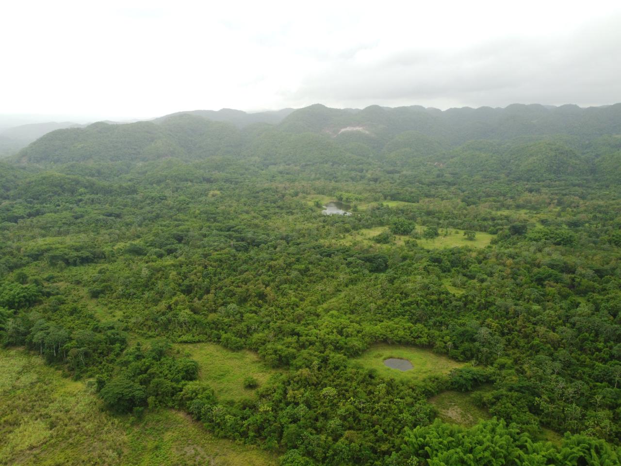 Stunning-2734-Acre-Development-Land-for-Sale-in-Jamaica Thirteenth image of Spring Vale in Maroon Town, St. James, Jamaica - property is For Sale