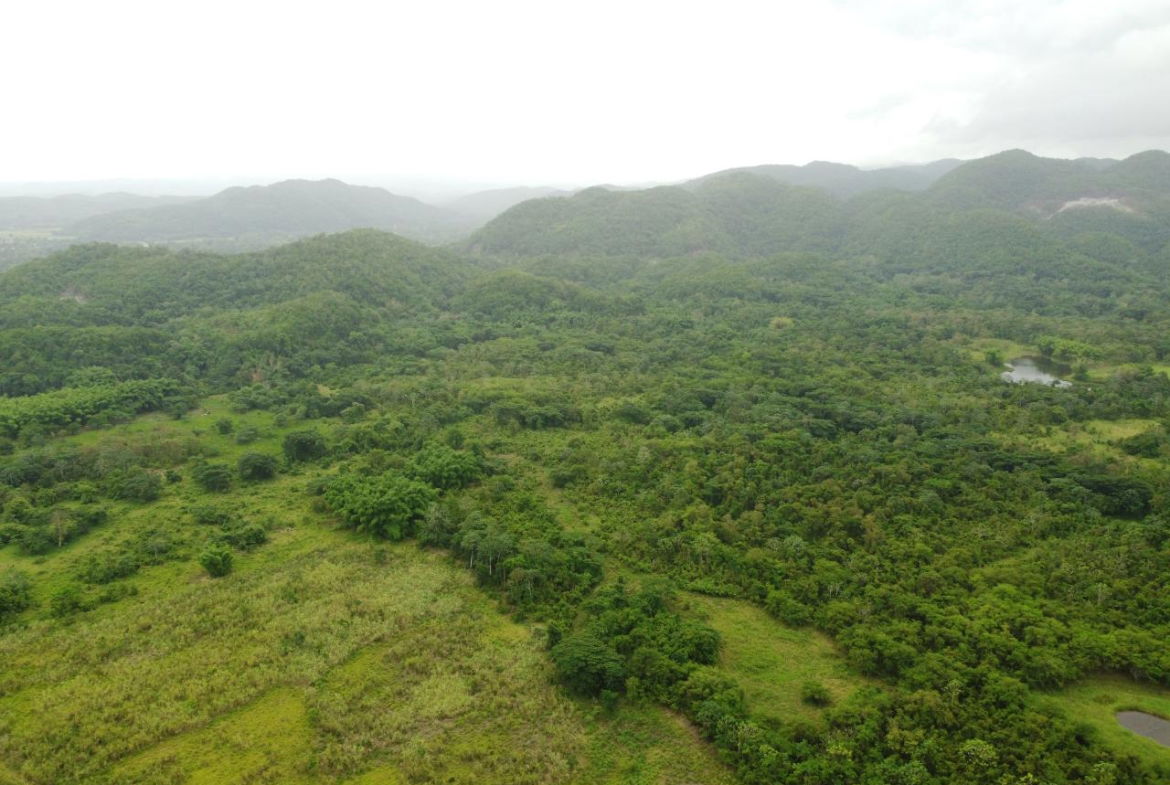 Fourteenth image of Spring Vale in Maroon Town, St. James, Jamaica - property is For Sale