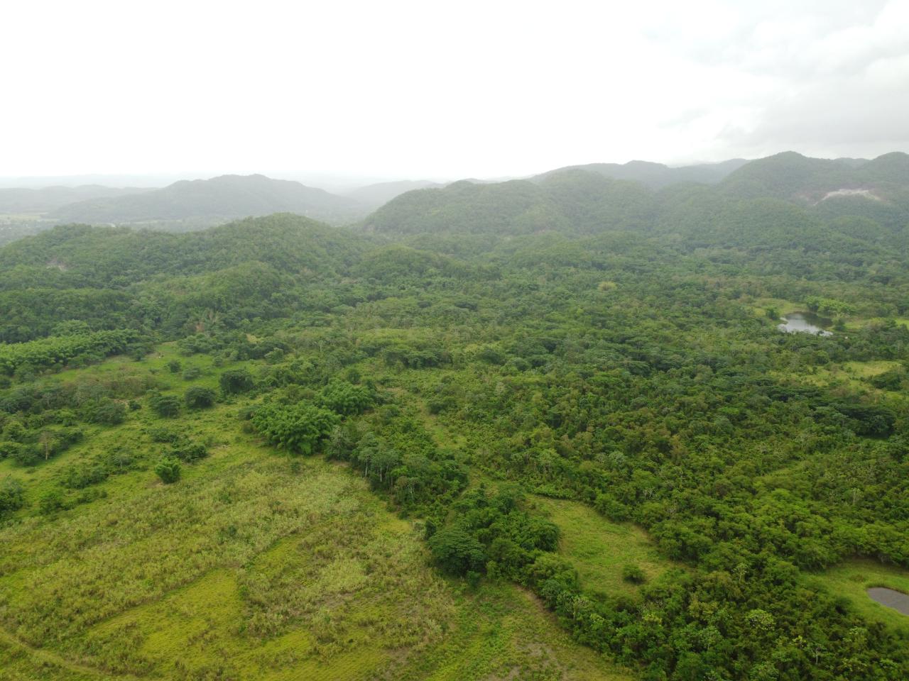 Stunning-2734-Acre-Development-Land-for-Sale-in-Jamaica Fourteenth image of Spring Vale in Maroon Town, St. James, Jamaica - property is For Sale