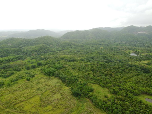 Fourteenth image of Spring Vale in Maroon Town, St. James, Jamaica - property is For Sale