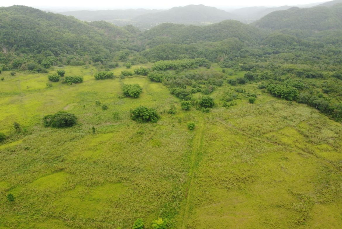 Third image of Spring Vale in Maroon Town, St. James, Jamaica - property is For Sale