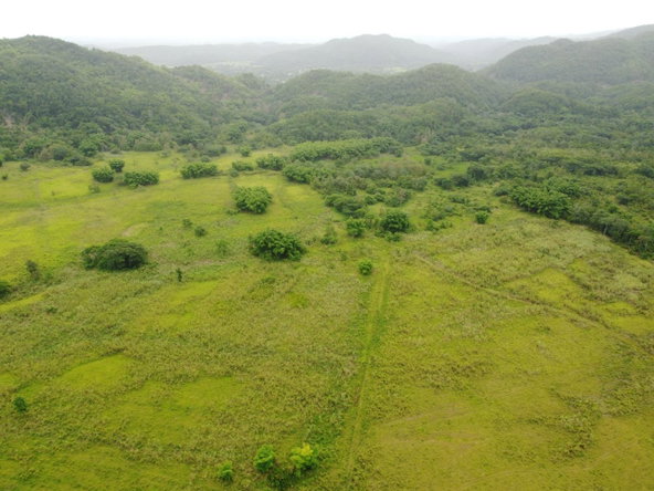 Third image of Spring Vale in Maroon Town, St. James, Jamaica - property is For Sale