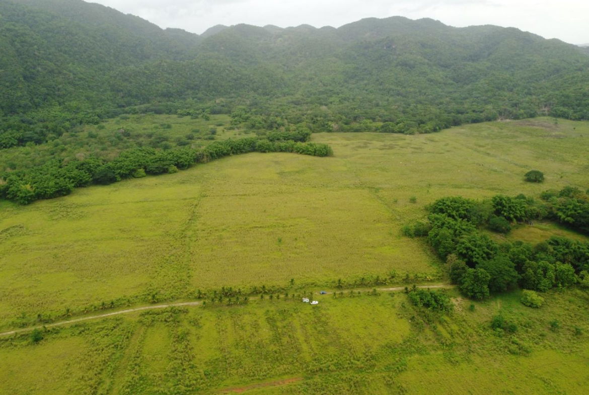 Twenty-First image of Spring Vale in Maroon Town, St. James, Jamaica - property is For Sale