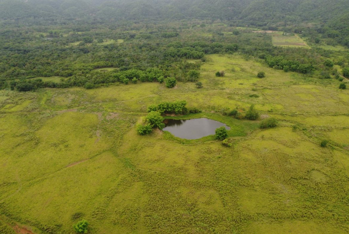 Twenty-Second image of Spring Vale in Maroon Town, St. James, Jamaica - property is For Sale