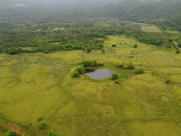 Twenty-Second image of Spring Vale in Maroon Town, St. James, Jamaica - property is For Sale