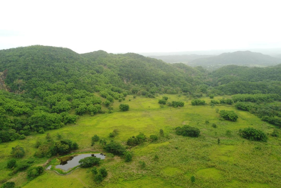 Twenty-Third image of Spring Vale in Maroon Town, St. James, Jamaica - property is For Sale