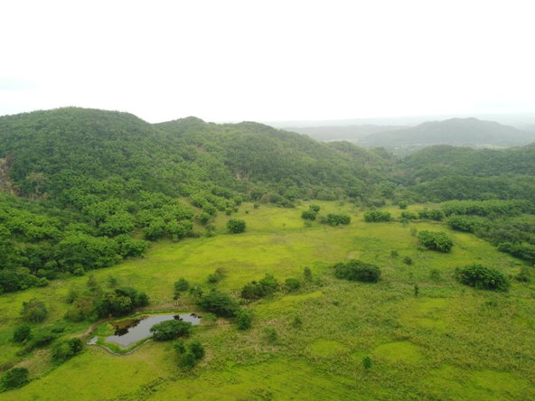 Twenty-Third image of Spring Vale in Maroon Town, St. James, Jamaica - property is For Sale