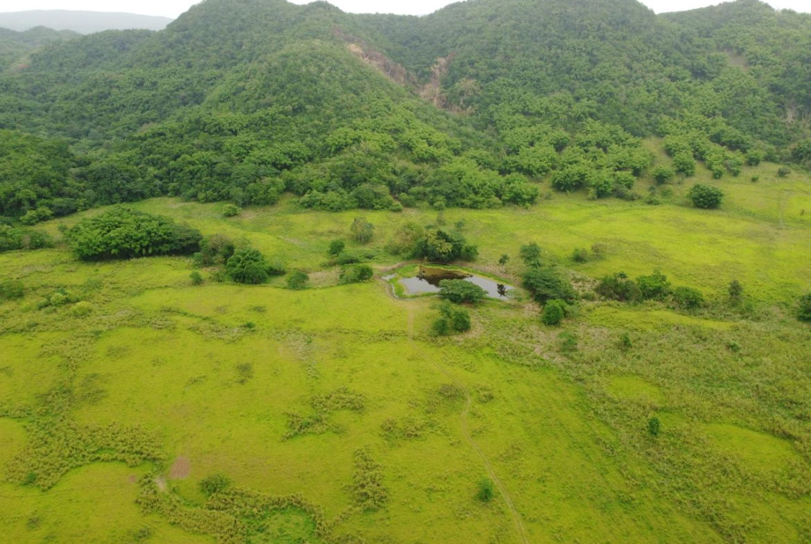 Twenty-Fourth image of Spring Vale in Maroon Town, St. James, Jamaica - property is For Sale