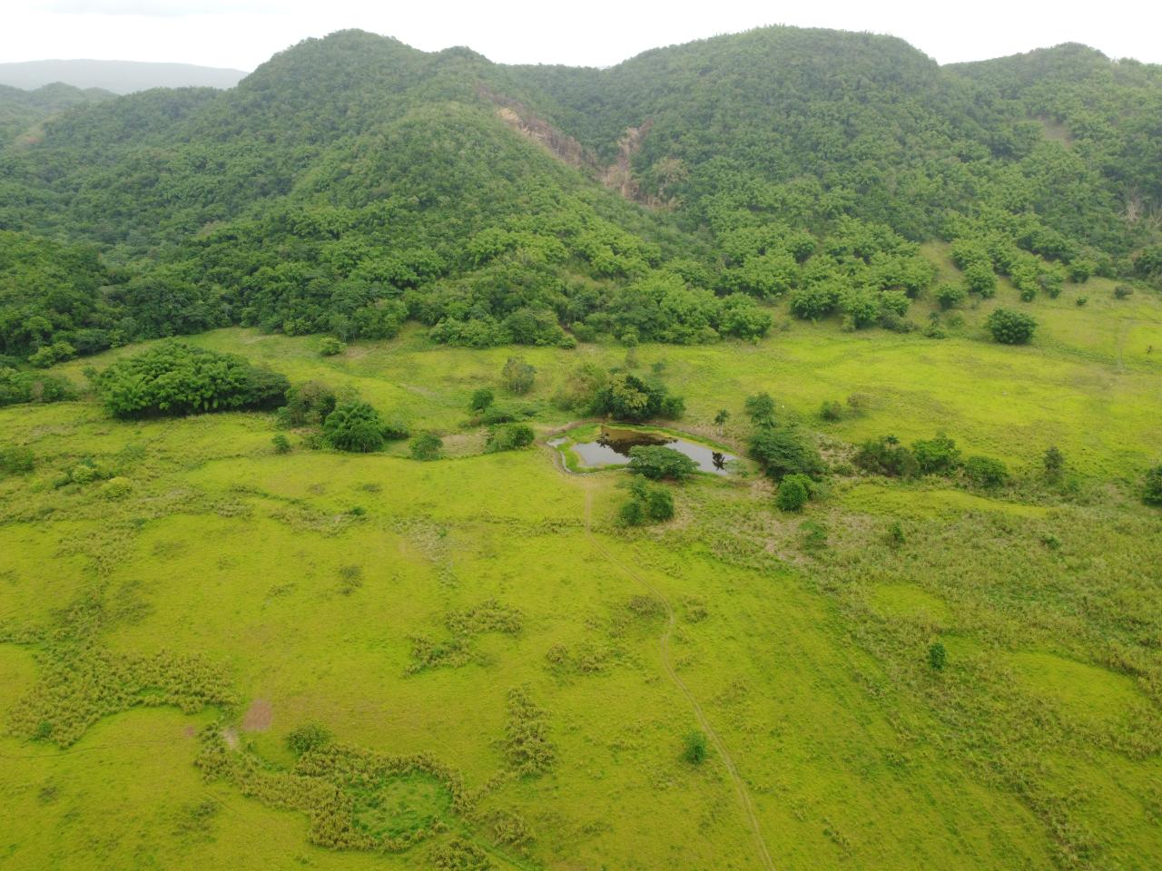 Stunning-2734-Acre-Development-Land-for-Sale-in-Jamaica Twenty-Fourth image of Spring Vale in Maroon Town, St. James, Jamaica - property is For Sale