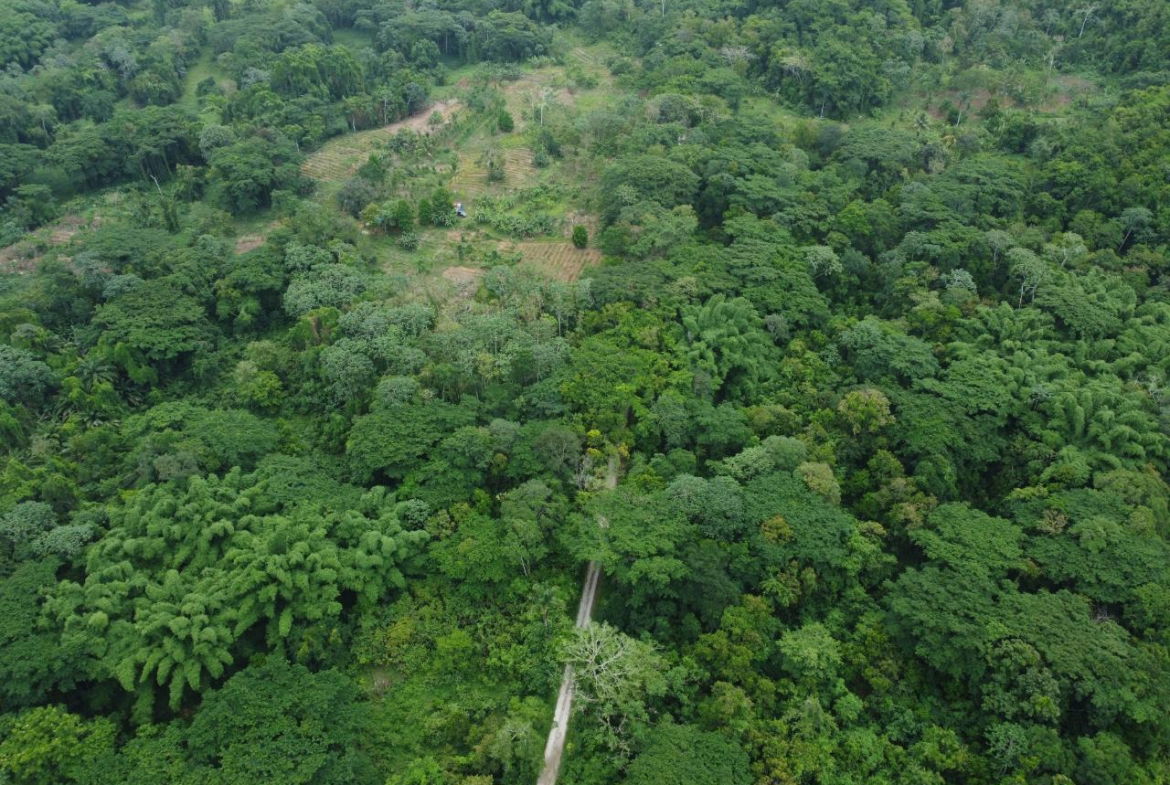 Twenty-Fifth image of Spring Vale in Maroon Town, St. James, Jamaica - property is For Sale