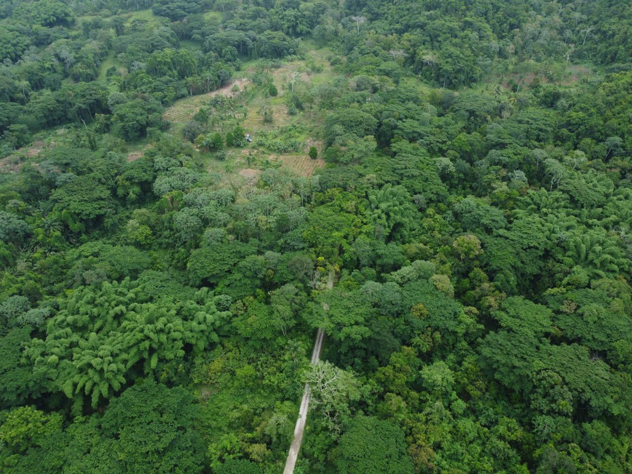 Stunning-2734-Acre-Development-Land-for-Sale-in-Jamaica Twenty-Fifth image of Spring Vale in Maroon Town, St. James, Jamaica - property is For Sale