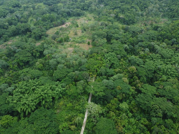 Twenty-Fifth image of Spring Vale in Maroon Town, St. James, Jamaica - property is For Sale