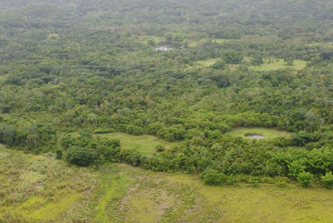 Twenty-Sixth image of Spring Vale in Maroon Town, St. James, Jamaica - property is For Sale