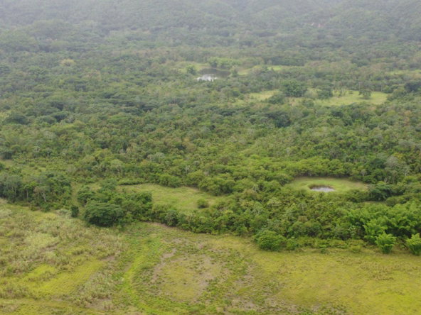 Twenty-Sixth image of Spring Vale in Maroon Town, St. James, Jamaica - property is For Sale