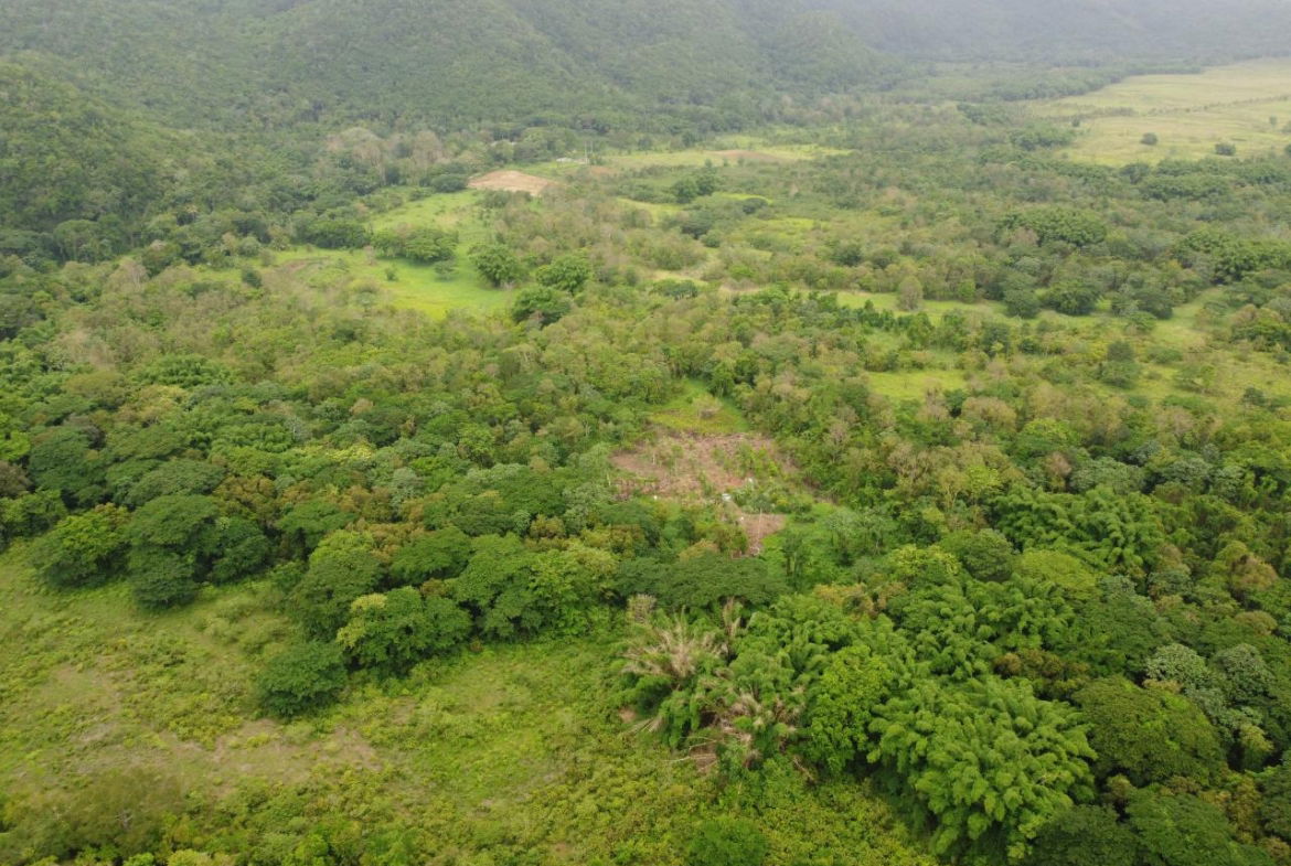 Twenty-Seventh image of Spring Vale in Maroon Town, St. James, Jamaica - property is For Sale