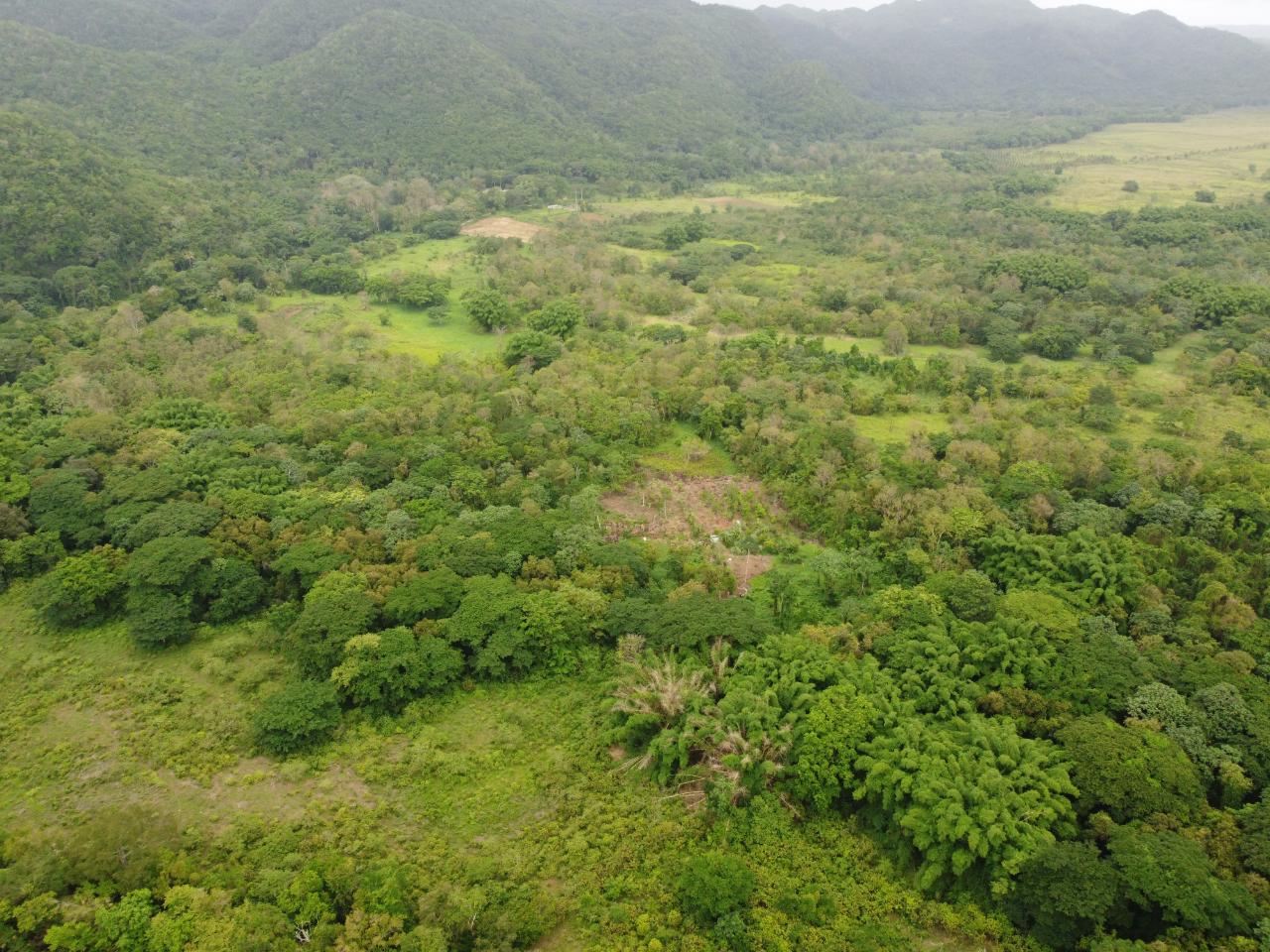 Stunning-2734-Acre-Development-Land-for-Sale-in-Jamaica Twenty-Seventh image of Spring Vale in Maroon Town, St. James, Jamaica - property is For Sale