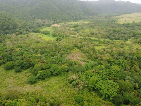 Twenty-Seventh image of Spring Vale in Maroon Town, St. James, Jamaica - property is For Sale