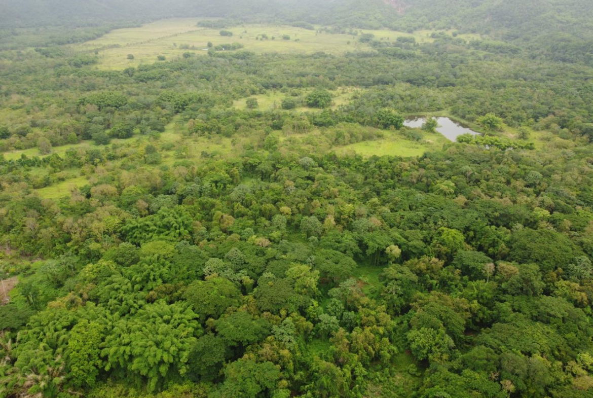 Twenty-Eighth image of Spring Vale in Maroon Town, St. James, Jamaica - property is For Sale