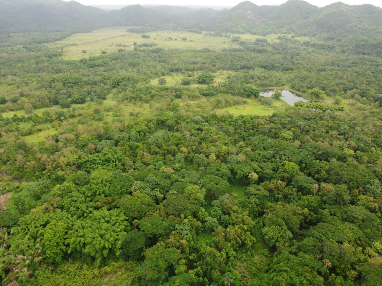 Stunning-2734-Acre-Development-Land-for-Sale-in-Jamaica Twenty-Eighth image of Spring Vale in Maroon Town, St. James, Jamaica - property is For Sale