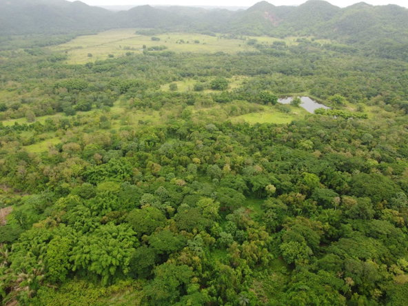 Twenty-Eighth image of Spring Vale in Maroon Town, St. James, Jamaica - property is For Sale