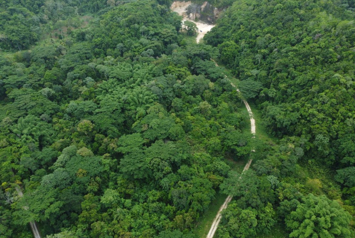 Twenty-Ninth image of Spring Vale in Maroon Town, St. James, Jamaica - property is For Sale