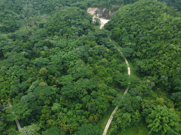 Twenty-Ninth image of Spring Vale in Maroon Town, St. James, Jamaica - property is For Sale