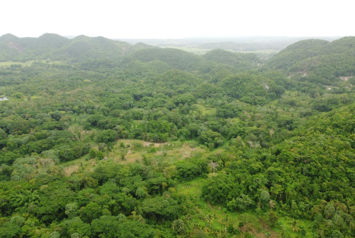 Thirtieth image of Spring Vale in Maroon Town, St. James, Jamaica - property is For Sale