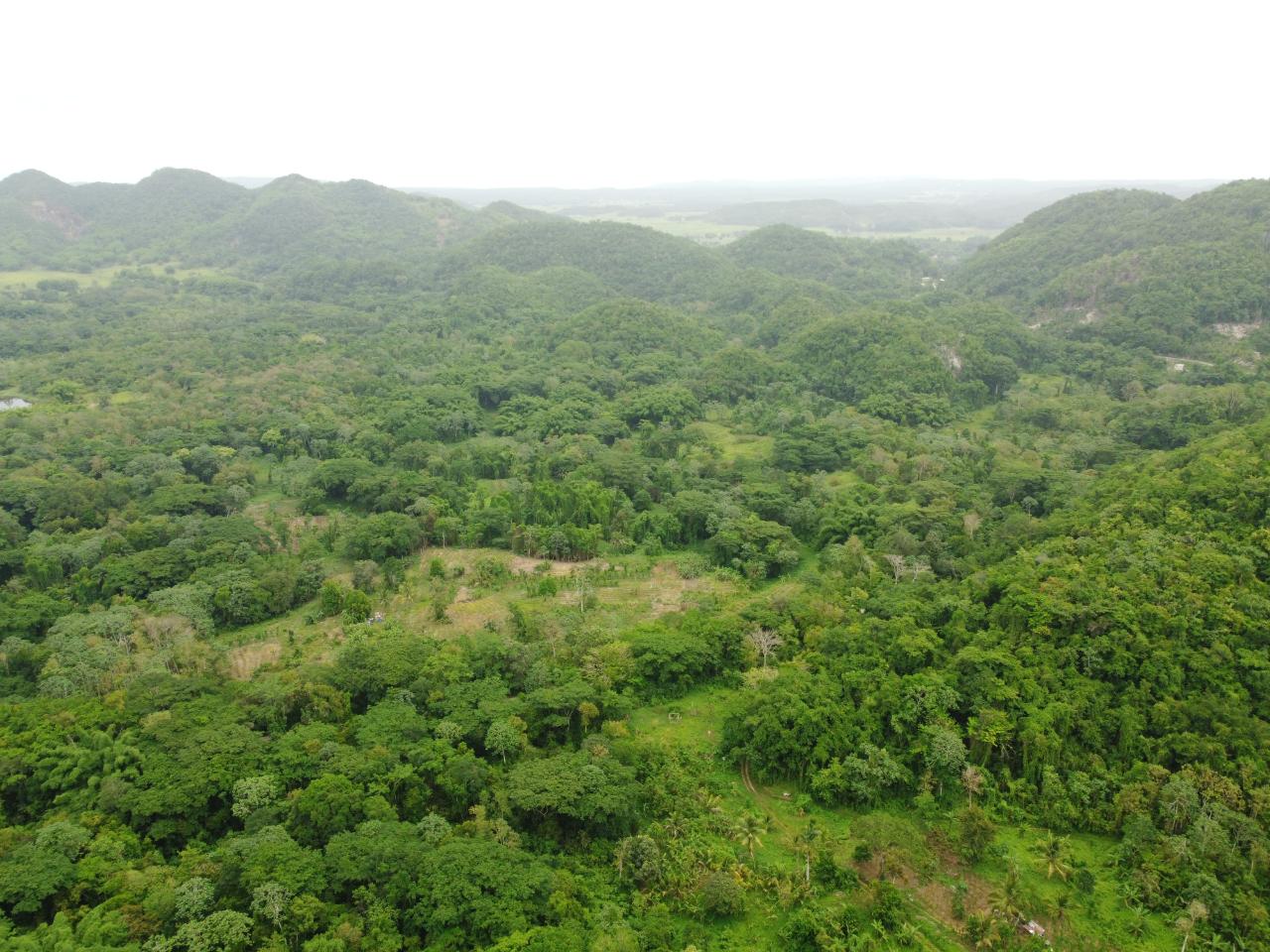 Stunning-2734-Acre-Development-Land-for-Sale-in-Jamaica Thirtieth image of Spring Vale in Maroon Town, St. James, Jamaica - property is For Sale