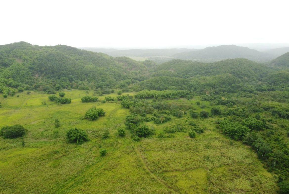 Fourth image of Spring Vale in Maroon Town, St. James, Jamaica - property is For Sale