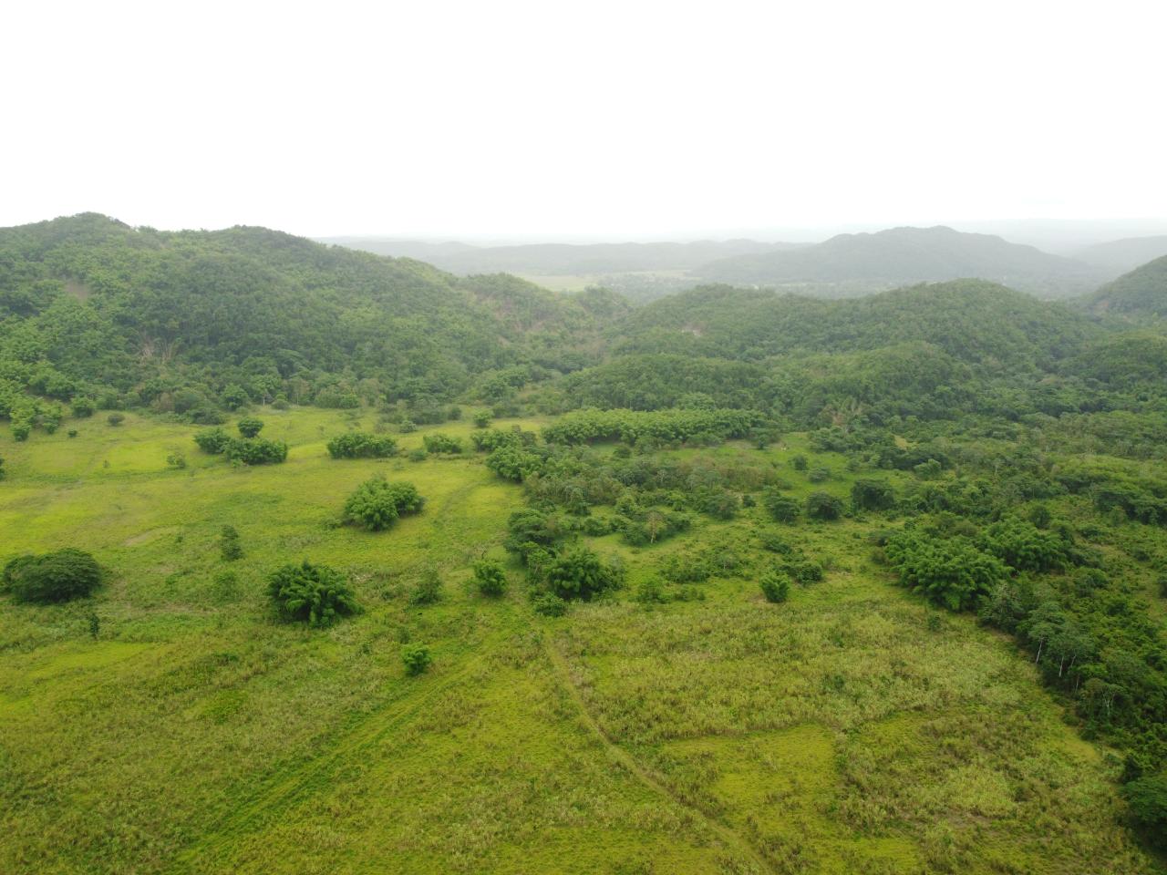 Stunning-2734-Acre-Development-Land-for-Sale-in-Jamaica Fourth image of Spring Vale in Maroon Town, St. James, Jamaica - property is For Sale