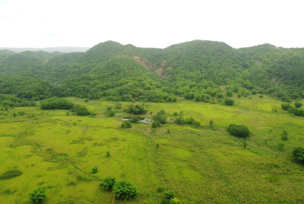 Fifth image of Spring Vale in Maroon Town, St. James, Jamaica - property is For Sale