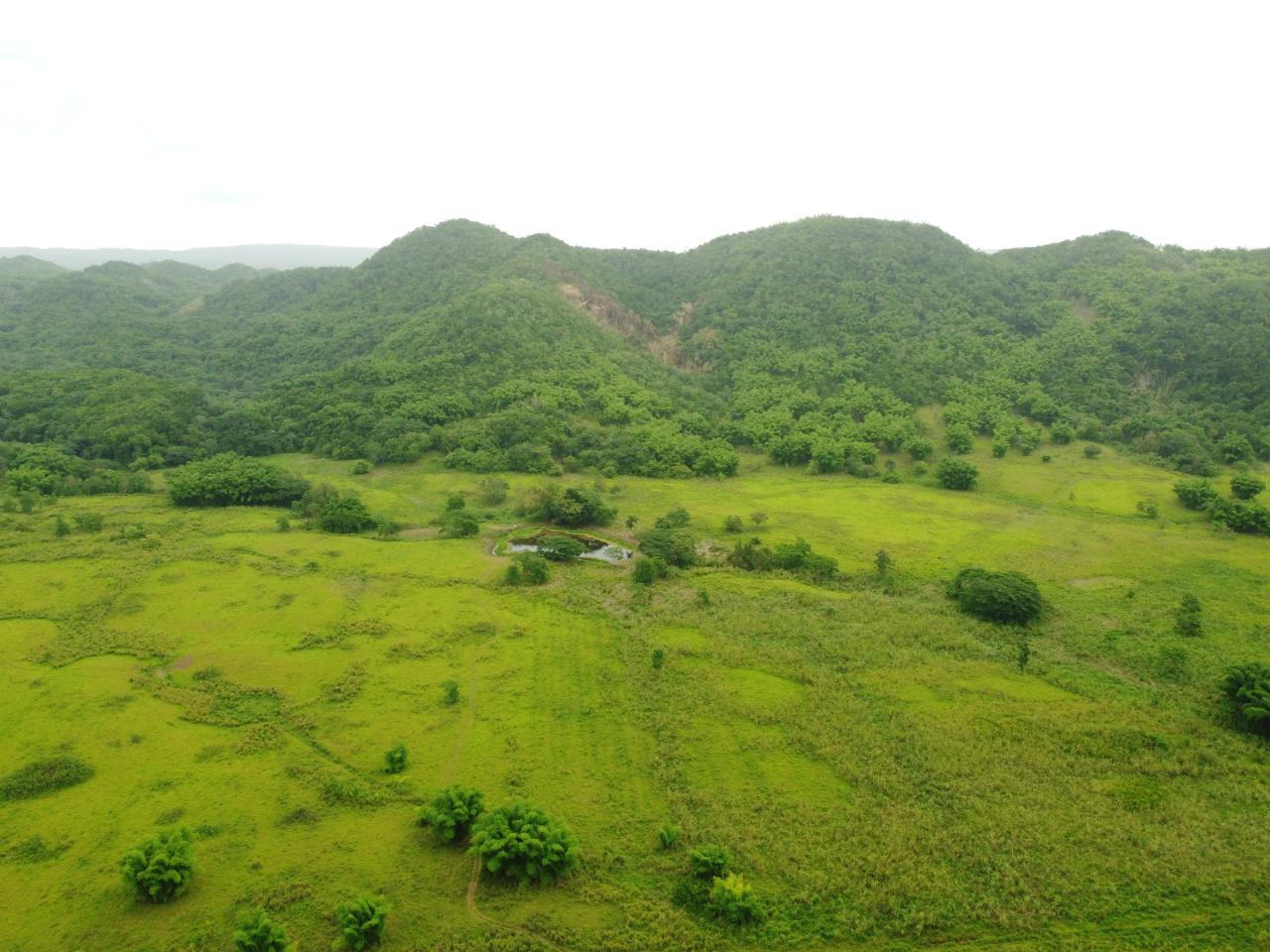 Stunning-2734-Acre-Development-Land-for-Sale-in-Jamaica Fifth image of Spring Vale in Maroon Town, St. James, Jamaica - property is For Sale