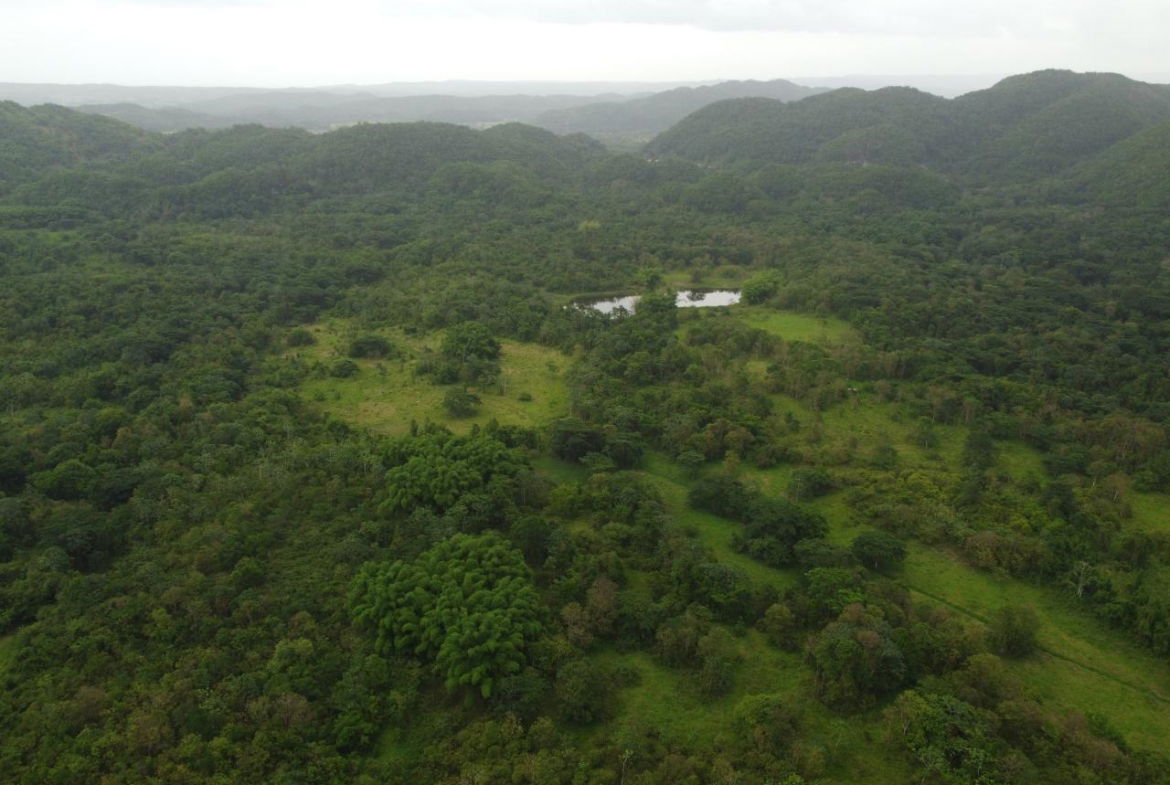 Sixth image of Spring Vale in Maroon Town, St. James, Jamaica - property is For Sale