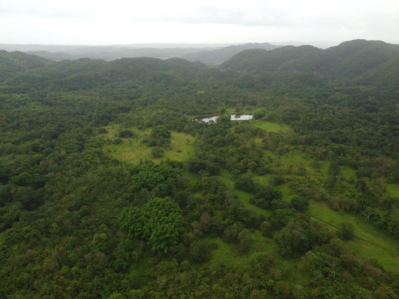 Stunning-2734-Acre-Development-Land-for-Sale-in-Jamaica Sixth image of Spring Vale in Maroon Town, St. James, Jamaica - property is For Sale