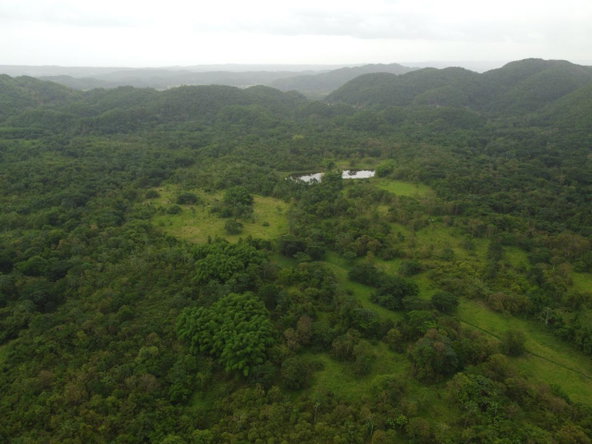 Sixth image of Spring Vale in Maroon Town, St. James, Jamaica - property is For Sale