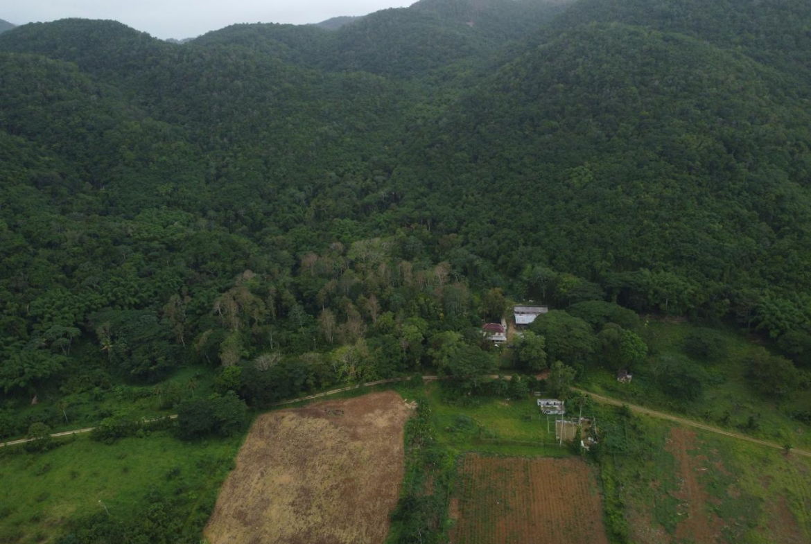 Seventh image of Spring Vale in Maroon Town, St. James, Jamaica - property is For Sale