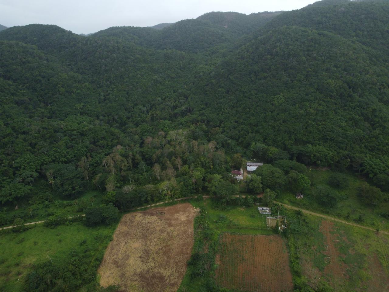 Stunning-2734-Acre-Development-Land-for-Sale-in-Jamaica Seventh image of Spring Vale in Maroon Town, St. James, Jamaica - property is For Sale