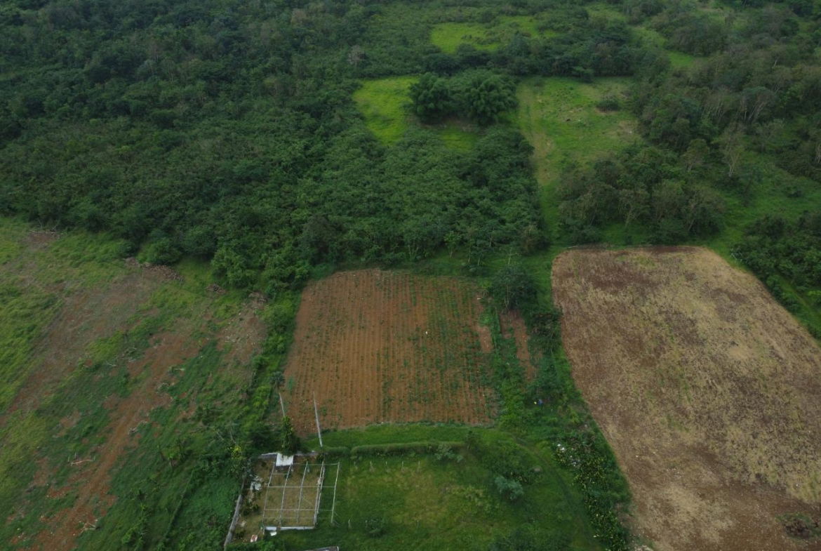 Eighth image of Spring Vale in Maroon Town, St. James, Jamaica - property is For Sale